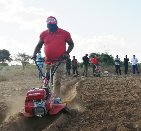 Building FVCs linked to Japanese products