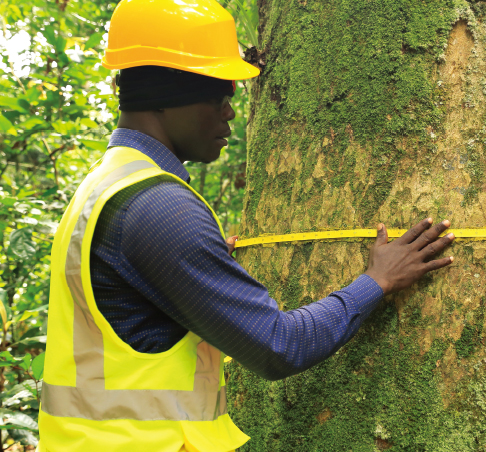 Training as part of ITTO’s HR development project in Congo basin countries