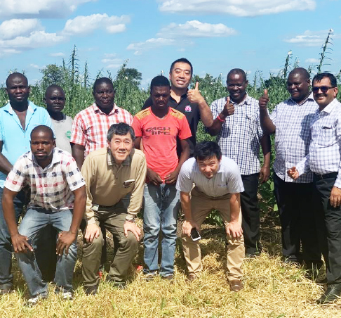 Procurement of sesame seeds and the improvement of community livelihoods using an ODA framework (ITOCHU Corporation)