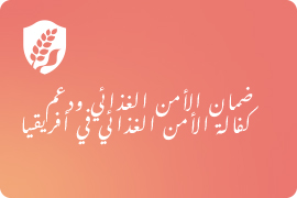 食糧安全保障の確立