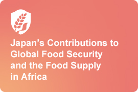 食糧安全保障の確立